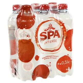 SPA BRUIS PET 6X50CL